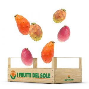 Fichi D'India